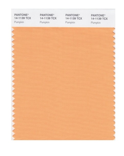 Pantone 14-1139 TCX Swatch Card Pumpkin