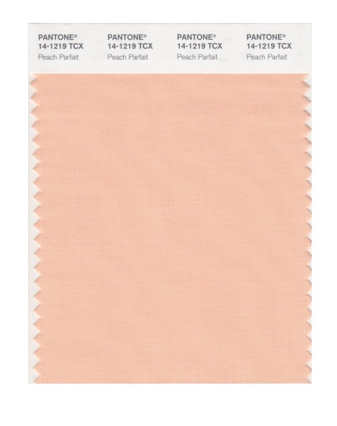 Pantone 14-1219 TCX Swatch Card Peach Parfait