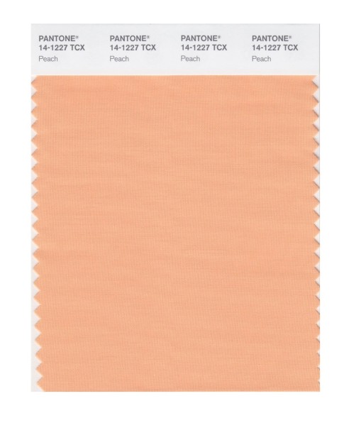 Pantone 14-1227 TCX Swatch Card Peach