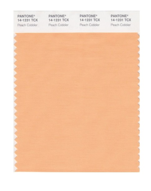 Pantone 14-1231 TCX Swatch Card Peach Cobbler