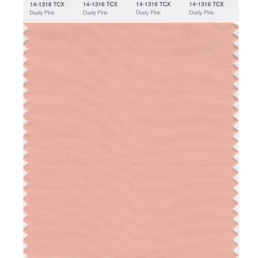 Pantone 14-1316 TCX Swatch Card Dusty Pink
