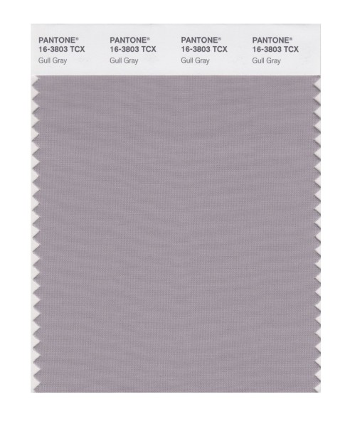 Pantone 16-3803 TCX Swatch Card Gull Gray