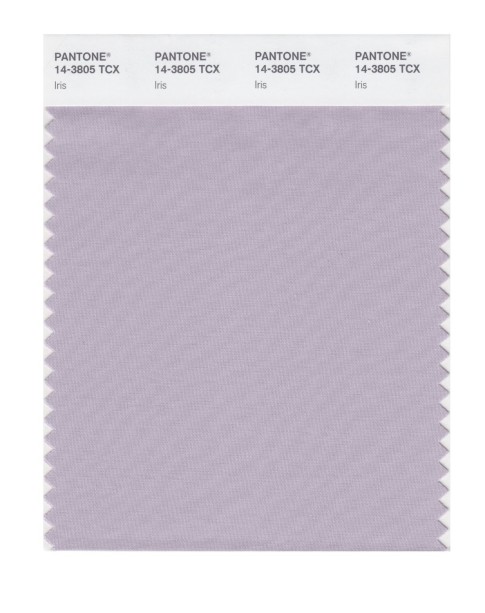 Pantone 14-3805 TCX Swatch Card Iris