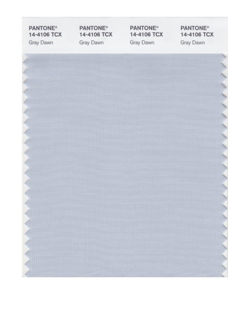 Pantone 14-4106 TCX Swatch Card Gray Dawn