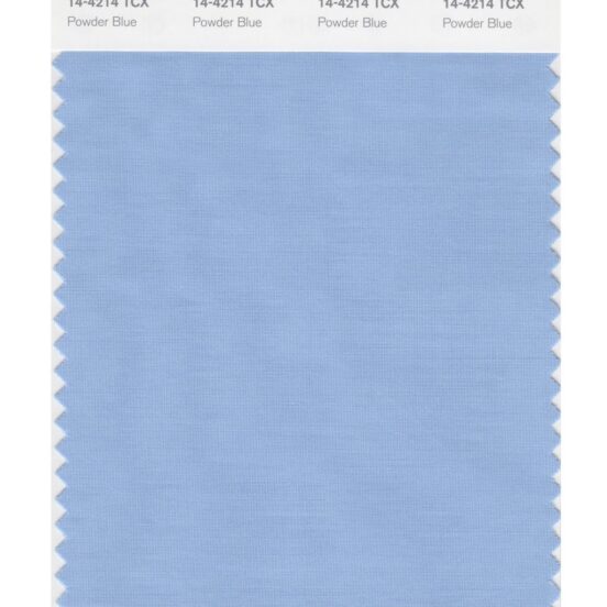 Pantone 14-4214 TCX Swatch Card Powder Blue