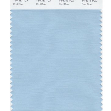 Pantone 14-4317 TCX Swatch Card Cool Blue