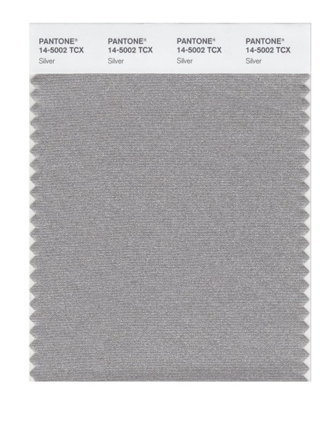 Pantone 14-5002 TCX Swatch Card Silver