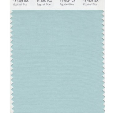 Pantone 14-4809 TCX Swatch Card Eggshell Blue