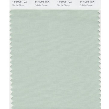 Pantone 14-6008 TCX Swatch Card Subtle Green