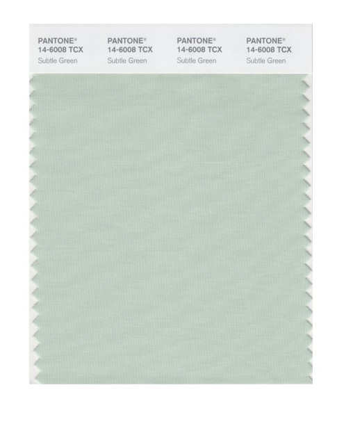 Pantone 14-6008 TCX Swatch Card Subtle Green