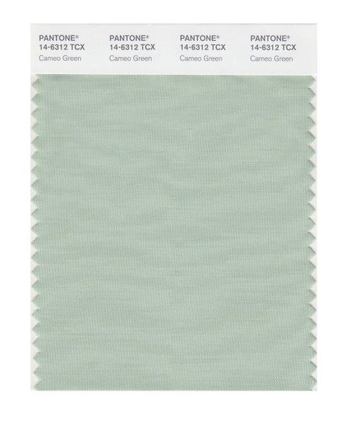 Pantone 14-6312 TCX Swatch Card Cameo Green
