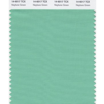 Pantone 14-6017 TCX Swatch Card Neptune Green