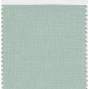 Pantone 14-5706 TCX Swatch Card Silt Green
