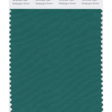 Pantone 18-5725 TCX Swatch Card Galapagos Green