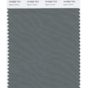 Pantone 18-5806 TCX Swatch Card Agave Green