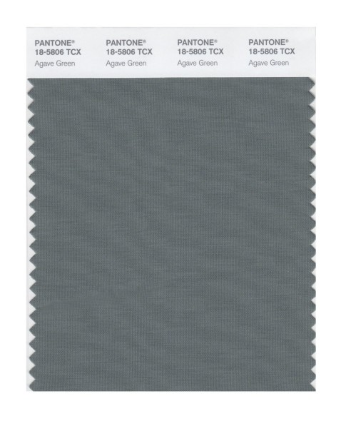 Pantone 18-5806 TCX Swatch Card Agave Green