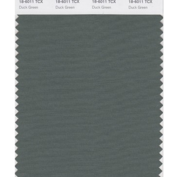 Pantone 18-6011 TCX Swatch Card Duck Green