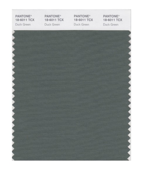 Pantone 18-6011 TCX Swatch Card Duck Green