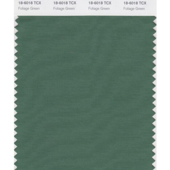 Pantone 18-6018 TCX Swatch Card Foliage Green