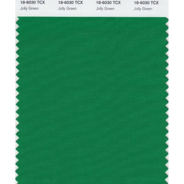 Pantone 18-6030 TCX Swatch Card Jolly Green