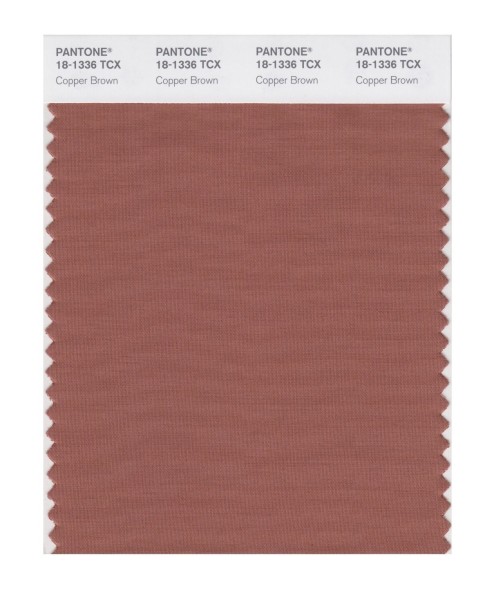 Pantone 18-1336 TCX Swatch Card Copper Brownl
