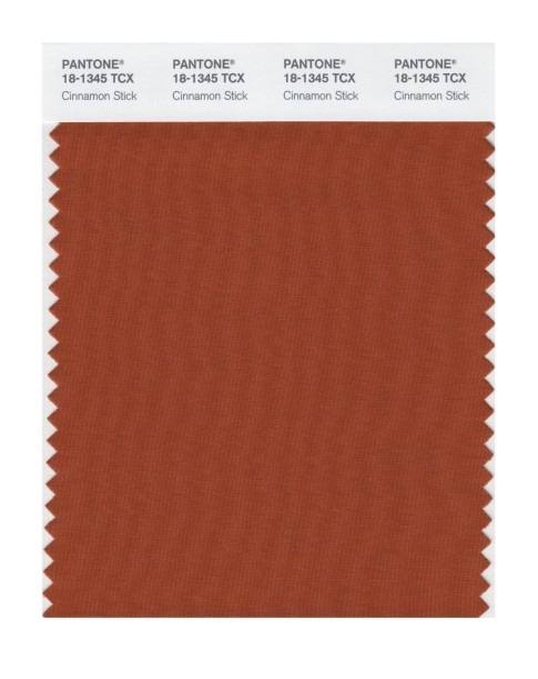 Pantone 18-1345 TCX Swatch Card Cinnamon Stick