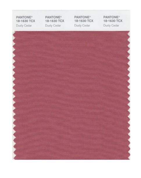 Pantone 18-1630 TCX Swatch Card Dusty Cedar