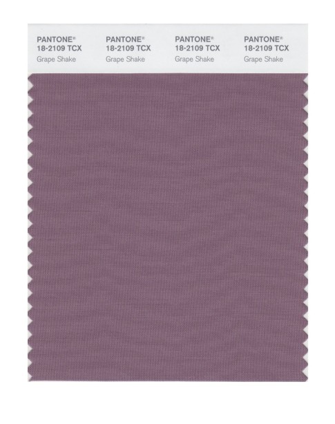 Pantone 18-2109 TCX Swatch Card Grape Shake