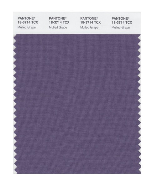 Pantone 18-3714 TCX Swatch Card Mulled Grape