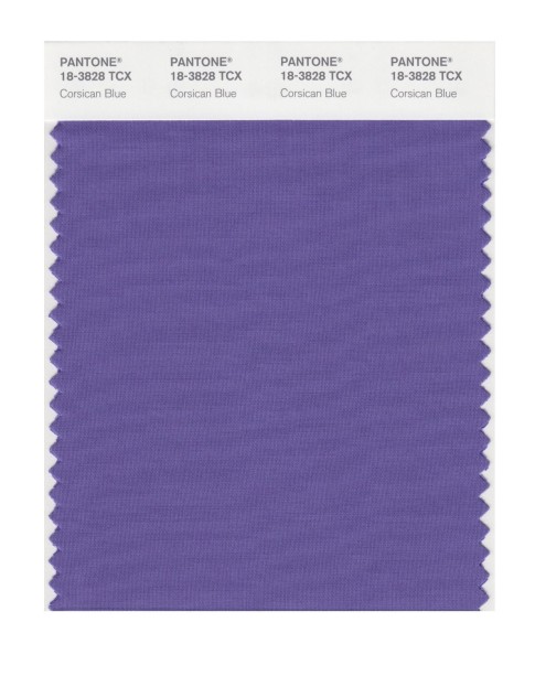 Pantone 18-3828 TCX Swatch Card Corsican Blue
