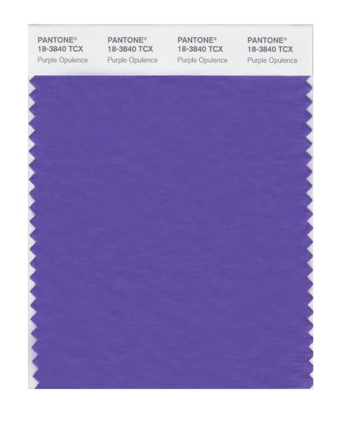 Pantone 18-3840 TCX Swatch Card Purple Opulence