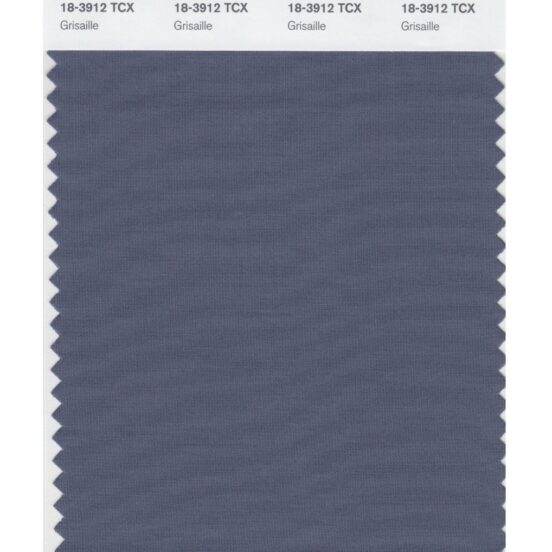 Pantone 18-3912 TCX Swatch Card Grisaille