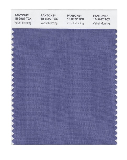 Pantone 18-3927 TCX Swatch Card Velvet Monring