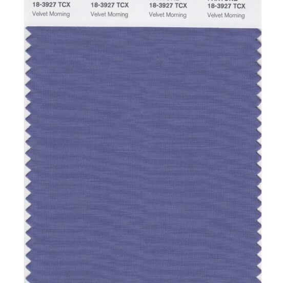 Pantone 18-3927 TCX Swatch Card Velvet Monring