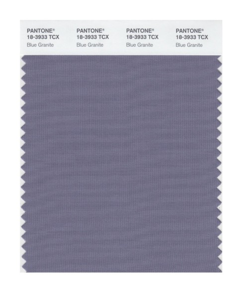 Pantone 18-3933 TCX Swatch Card Blue Granite
