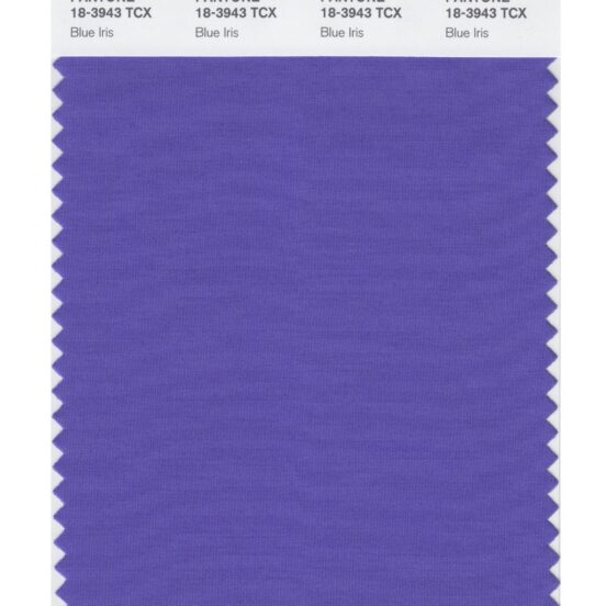 Pantone 18-3943 TCX Swatch Card Blue Iris