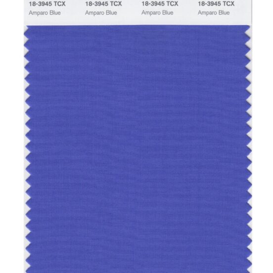 Pantone 18-3945 TCX Swatch Card Amparo Blue