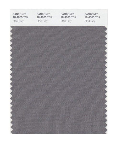 Pantone 18-4005 TCX Swatch Card Steel Gray