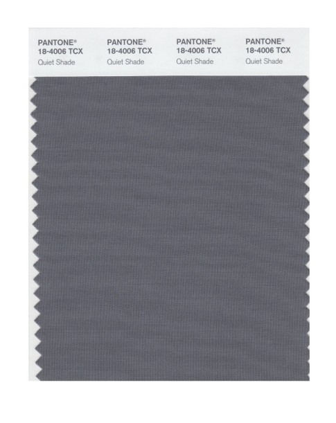 Pantone 18-4006 TCX Swatch Card Quiet Shade