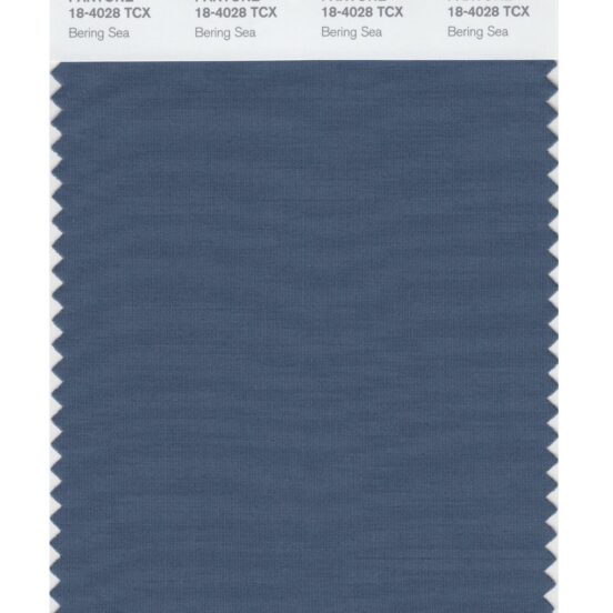 Pantone 18-4028 TCX Swatch Card Bering Sea
