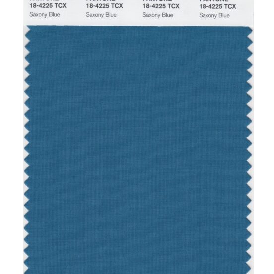 Pantone 18-4225 TCX Swatch Card Saxony Blue