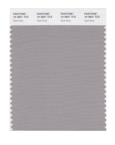Pantone 16-3801 TCX Swatch Card Opal Gray