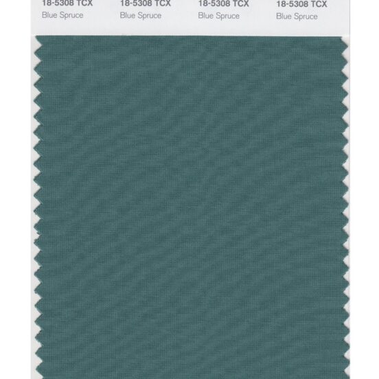Pantone 18-5308 TCX Swatch Card Blue Spruce