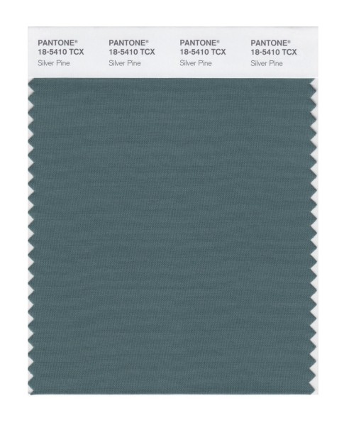 Pantone 18-5410 TCX Swatch Card Silver Pine