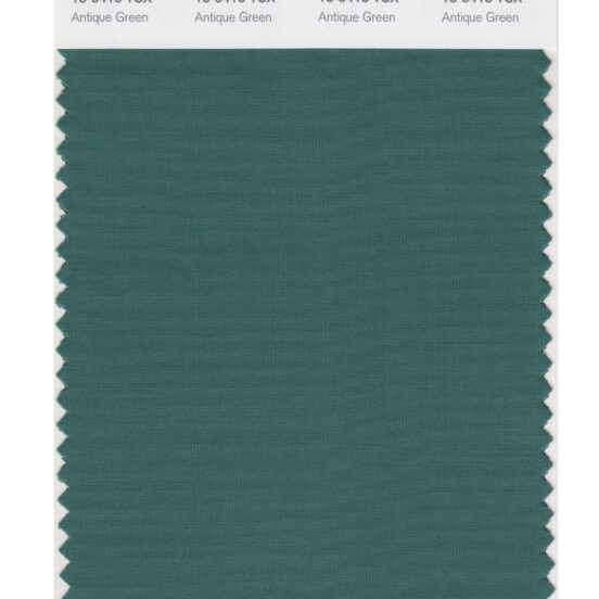 Pantone 18-5418 TCX Swatch Card Antique Green
