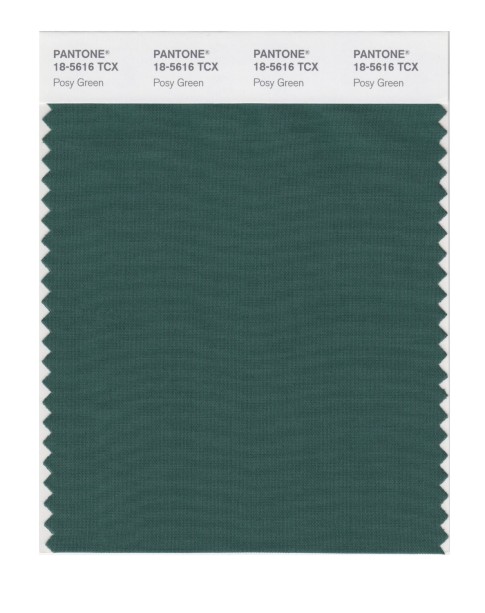 Pantone 18-5616 TCX Swatch Card Posy Green