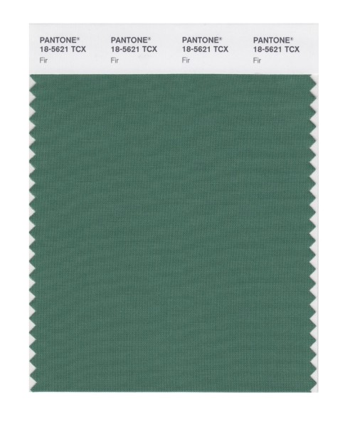 Pantone 18-5621 TCX Swatch Card Fir