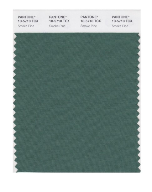 Pantone 18-5718 TCX Swatch Card moke Pine