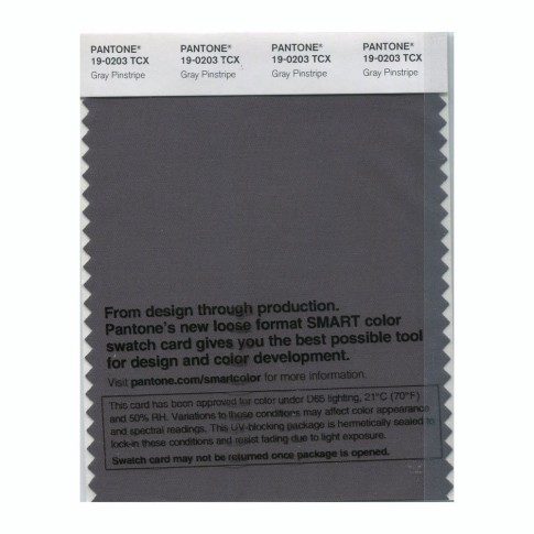 Pantone 19-0203 TCX Swatch Card Gray Pinstripe