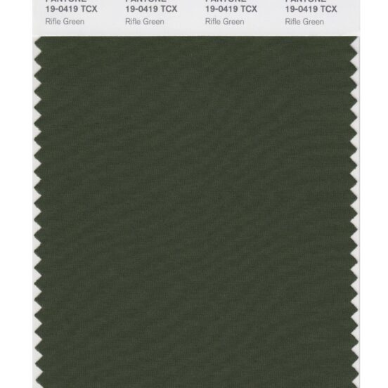 Pantone 19-0419 TCX Swatch Card Rifle Green